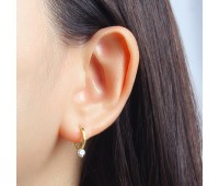 CZ Silver Huggies Earring HO-2692